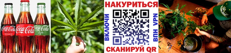 Купить  Находка  Cannafood конопля 