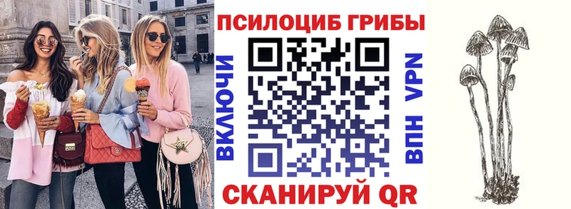 Галлюциногенные грибы мухоморы  Купить закладки  Находка 